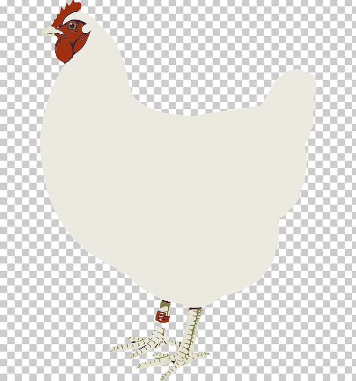 Rooster Chicken PNG, Clipart, Beak, Bird, Chicken, Chickie Cliparts, Download Free PNG Download