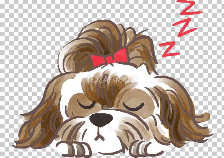 Shih Tzu Dog Breed Puppy （有）関添重機 ペットエンゼル岩手 Pet PNG, Clipart, Breed, Carnivoran, Cartoon, Dog, Dog Breed Free PNG Download