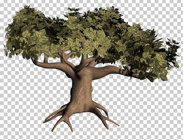 Tree Computer Icons PNG, Clipart, Branch, Celebrities, Computer Icons, Download, Encapsulated Postscript Free PNG Download