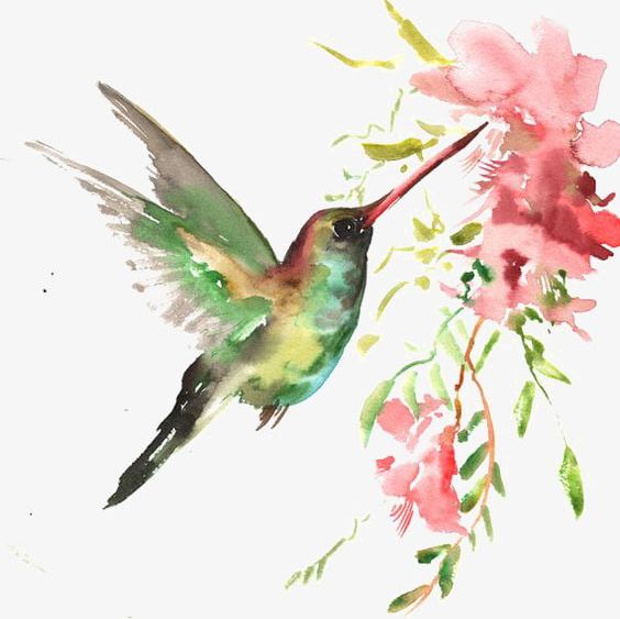 Watercolor Bird PNG, Clipart, Art, Beak, Bird, Bird Cage, Branch Free PNG Download