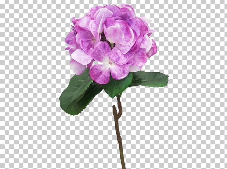Centifolia Roses Cut Flowers Garden Roses Plant PNG, Clipart, Annual Plant, Artificial Flower, Centifolia Roses, Cornales, Cranesbill Free PNG Download