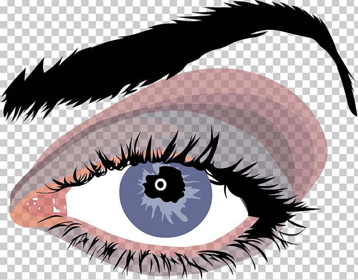 Eye Color Eye Color Eyebrow Human Eye PNG, Clipart, Color, Drawing, Eye, Eyebrow, Eye Color Free PNG Download