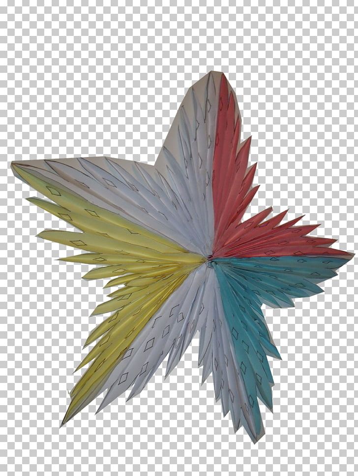 Leaf Petal Tree PNG, Clipart, Leaf, Petal, Tree, Wing Free PNG Download