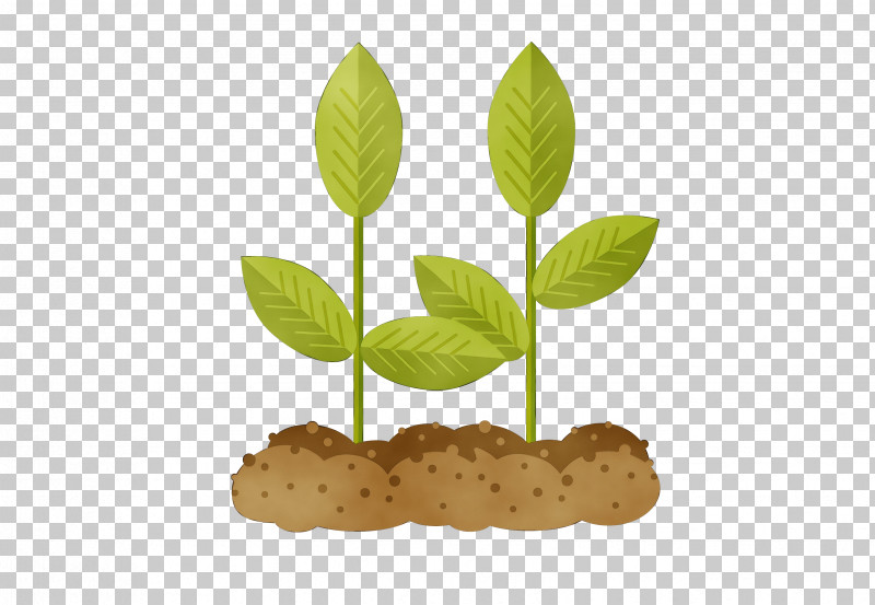 Leaf Plant Flower Soil PNG, Clipart, Flower, Leaf, Paint, Plant, Soil Free PNG Download