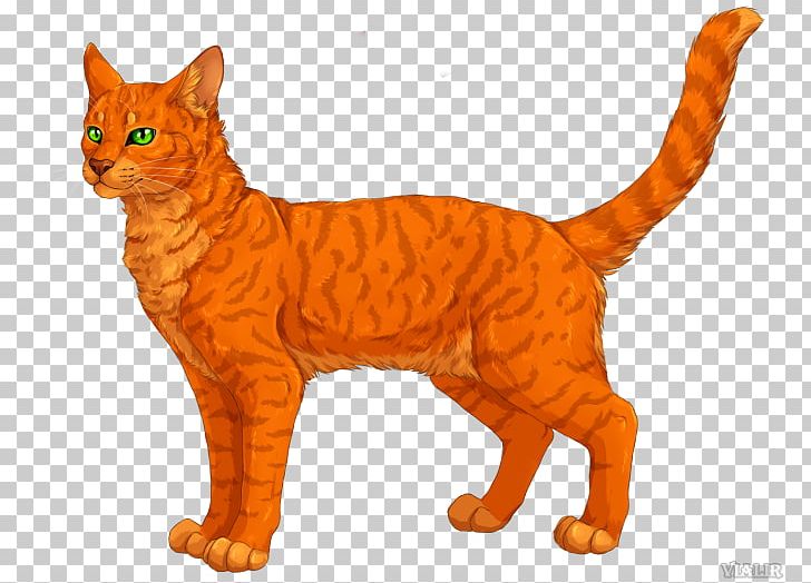 Kitten Whiskers Warriors Domestic Short-haired Cat PNG, Clipart, American Wirehair, Animal Figure, Animals, Book, Carnivoran Free PNG Download