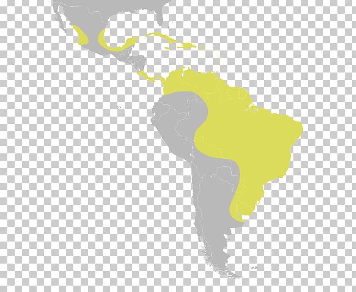 Latin America South America Central America United States Subregion PNG, Clipart, Americas, Geography, History, International Media Distribution, Latin America Free PNG Download