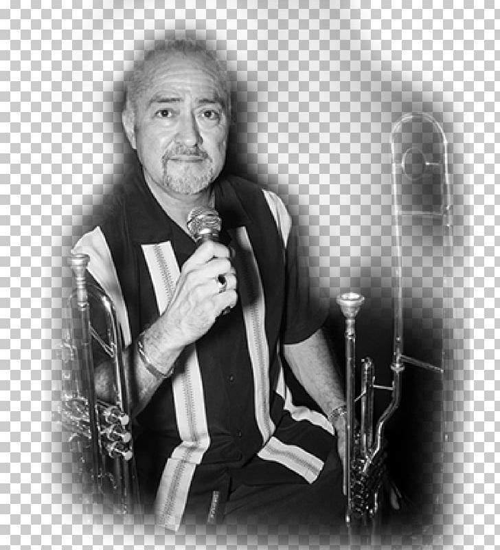 Microphone Vocal Coach White Loudspeaker Human Voice PNG, Clipart, Black And White, Electronics, Gentleman, Human Voice, Loudspeaker Free PNG Download