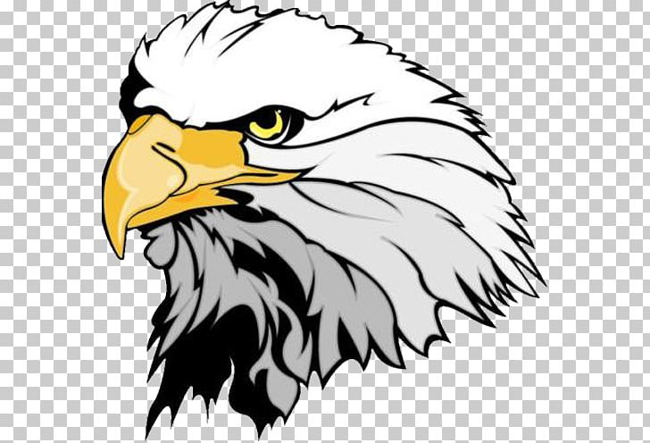 Enderlin High School Middle School National Secondary School Aviston Elementary PNG, Clipart, All Saints Academy, Aviston, Aviston Elementary, Beak, Bird Free PNG Download