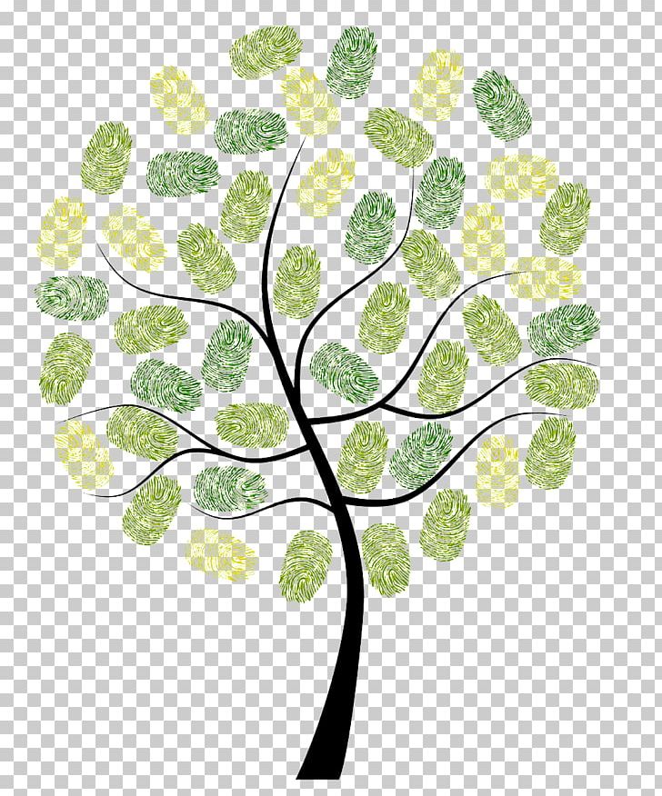 Fingerprint Owl Tree Digit Euclidean PNG, Clipart, Branch, Christmas, Family Tree, Fingerprint Tree, Happy Birthday Free PNG Download