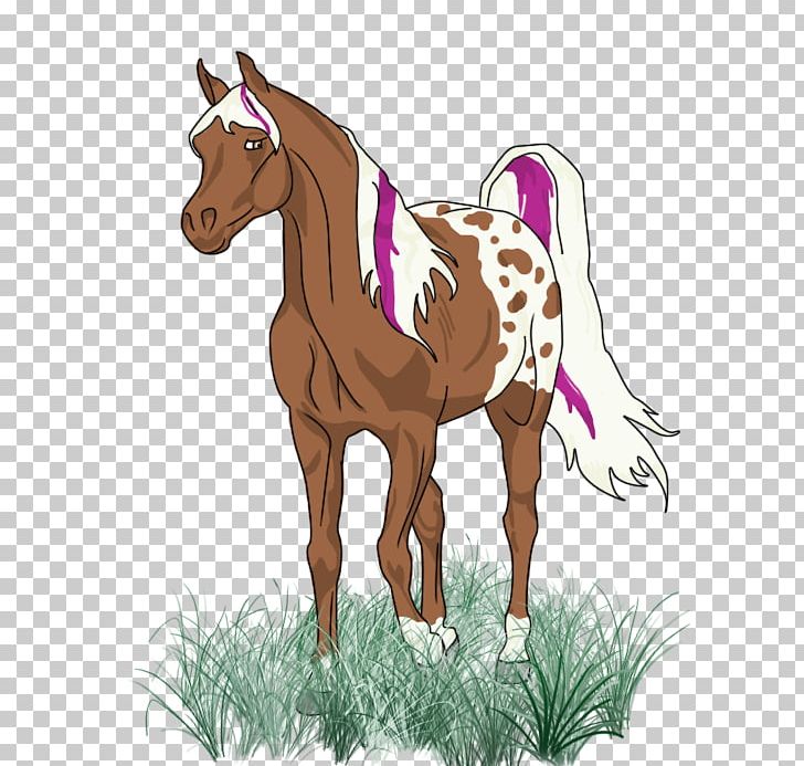 Foal Pony Colt Art PNG, Clipart, Animals, Animated Cartoon, Art, Cartoon, Colt Free PNG Download