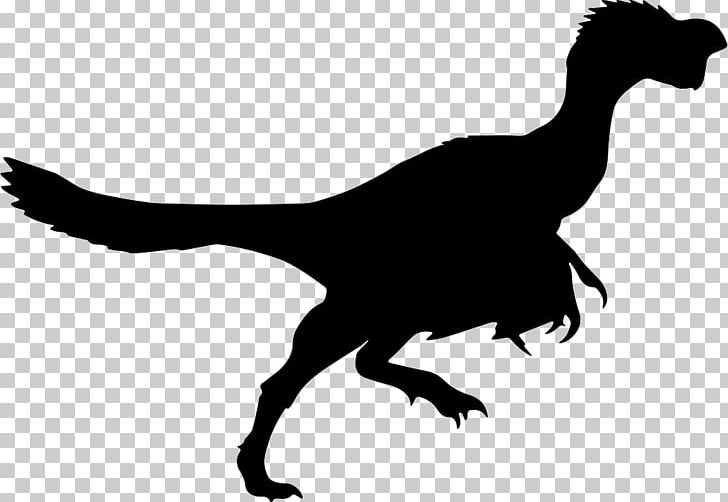 Citipati Tyrannosaurus Daspletosaurus Silhouette Dinosaur PNG, Clipart, Animal, Animals, Beak, Bird, Black And White Free PNG Download