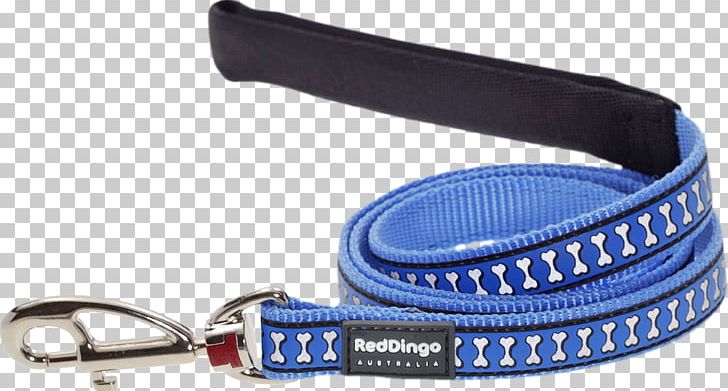 Leash Dog Collar Dingo Dog Grooming PNG, Clipart, Animals, Belt, Blue, Collar, Dingo Free PNG Download