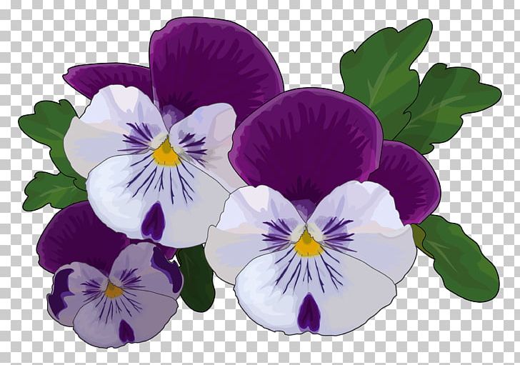 Pansy Drawing Flower Violet Thought PNG, Clipart, Annual Plant, Common Sunflower, Drawing, Flower, Flowering Plant Free PNG Download