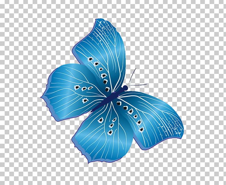 Butterfly Insect PNG, Clipart, Animal, Blog, Blue, Butterflies And Moths, Butterfly Free PNG Download