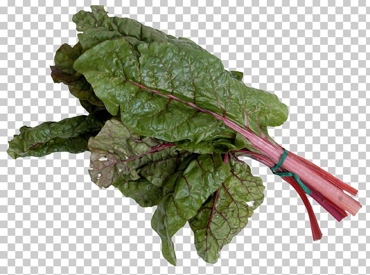 Chard Spinach Leaf Vegetable PNG, Clipart, Chard, Chenopodium Giganteum, Collard Greens, Common Beet, Kale Free PNG Download
