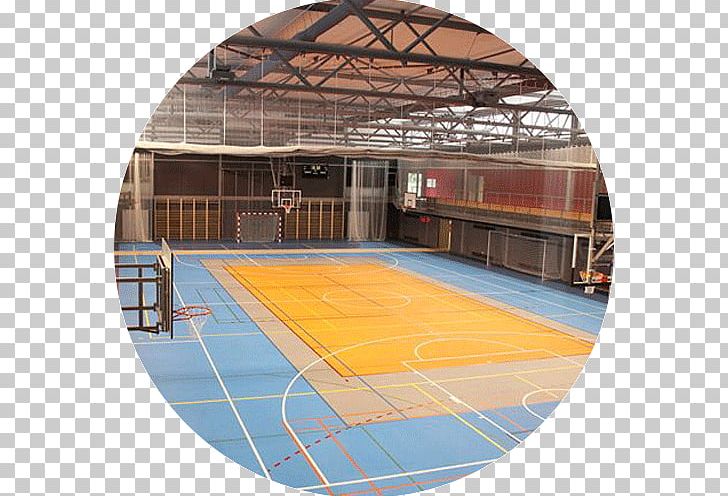 Multifunctional Sports Hall Stadium Fitness Centre PNG, Clipart, Accommodation, Field House, Fitness Centre, Floor, Hala Free PNG Download