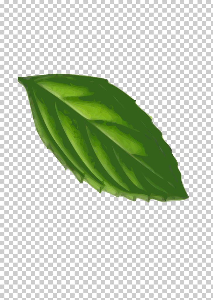Peppermint Leaf Computer Icons PNG, Clipart, Computer Icons, Desktop Wallpaper, Download, Green, Herb Free PNG Download
