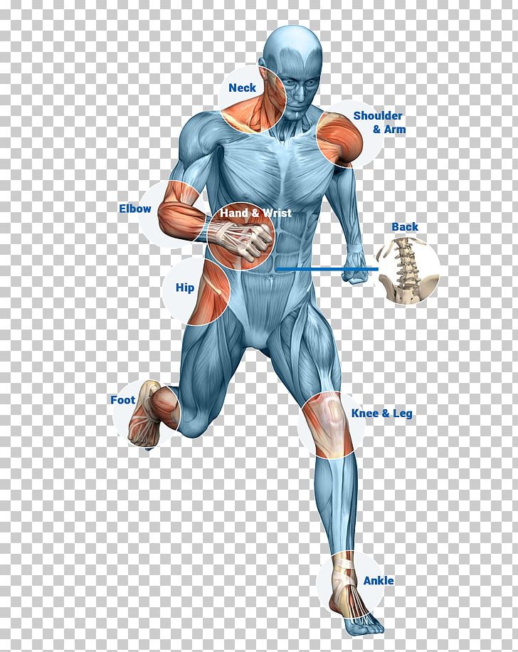 Physical Therapy Orthopedic Surgery Human Body Bone PNG, Clipart, Arm, Clinic, Costume, Hip, Human Free PNG Download