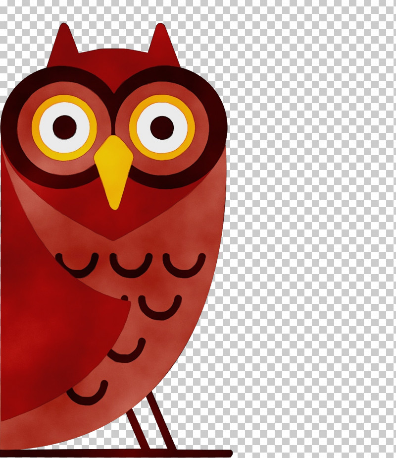 Owls Little Owl Birds Tawny Owl Eastern Screech Owl PNG, Clipart, Beak, Bird Of Prey, Birds, Cartoon, Eastern Screech Owl Free PNG Download