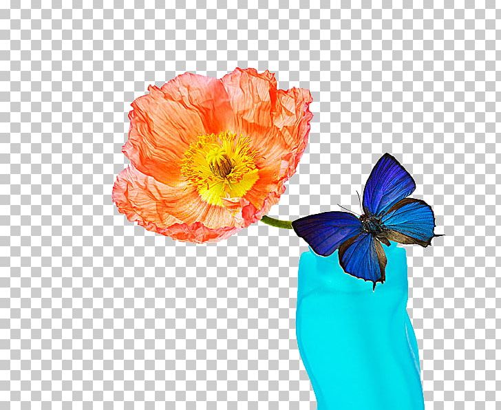 Butterfly Flower PNG, Clipart, Blue, Blue Butterfly, Bright, Butterfly, Color Free PNG Download
