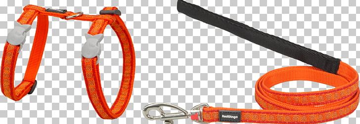 Cat Leash Product PNG, Clipart, Cat, Fashion Accessory, Hardware, Leash, Orange Free PNG Download