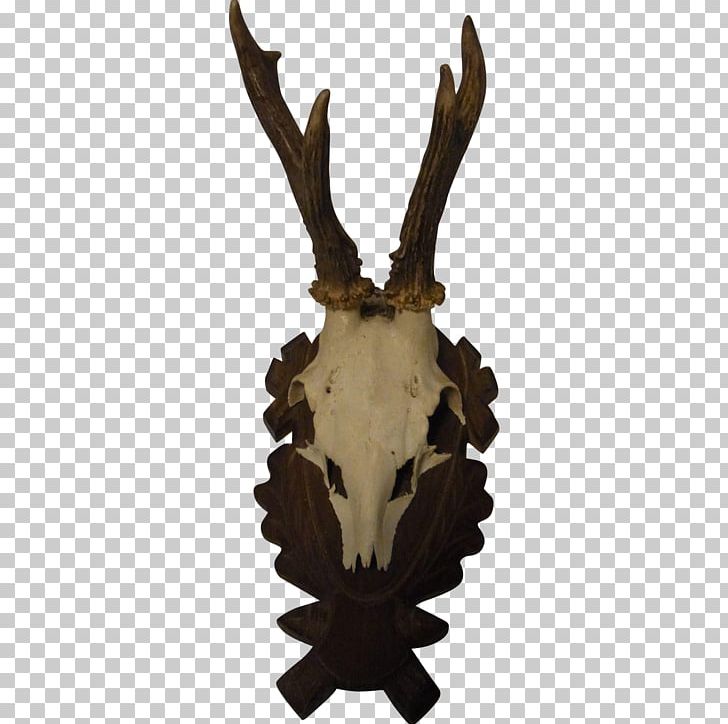 Deer Trophy Hunting Horn PNG, Clipart, Animals, Antler, Black Forest, Deer, Forest Free PNG Download