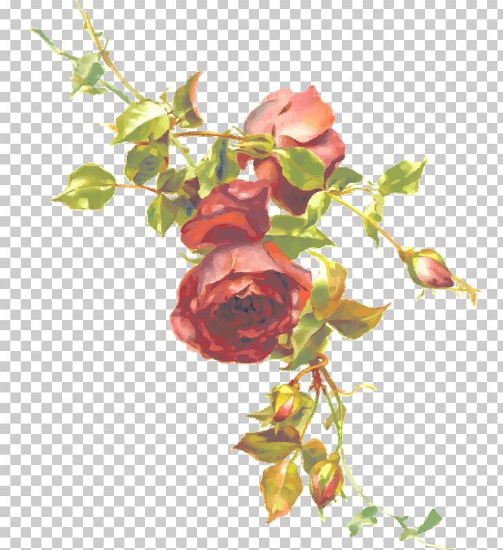 Flower Arranging Photography Branch PNG, Clipart, Art, Branch, Bud, Computer Icons, Cut Flowers Free PNG Download