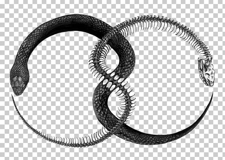 Ouroboros Tattoo Artist PNG, Clipart, Art, Auto Part, Blackandgray, Black And White, Body Jewelry Free PNG Download