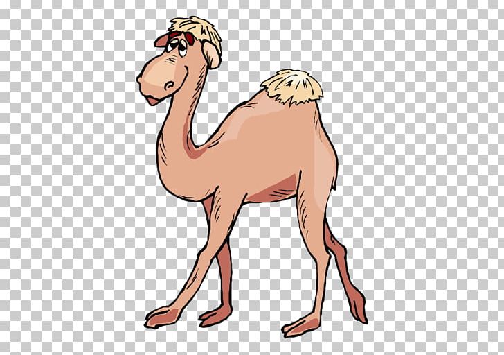 Bactrian Camel Dromedary Camel Train PNG, Clipart, Animals, Arabian Camel, Bactrian Camel, Came, Camel Like Mammal Free PNG Download