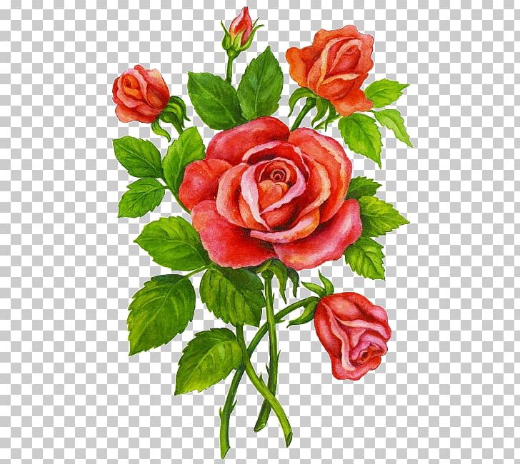 Flower Garden Roses Child PNG, Clipart, Artificial Flower, Child, China Rose, Color, Decoupage Free PNG Download
