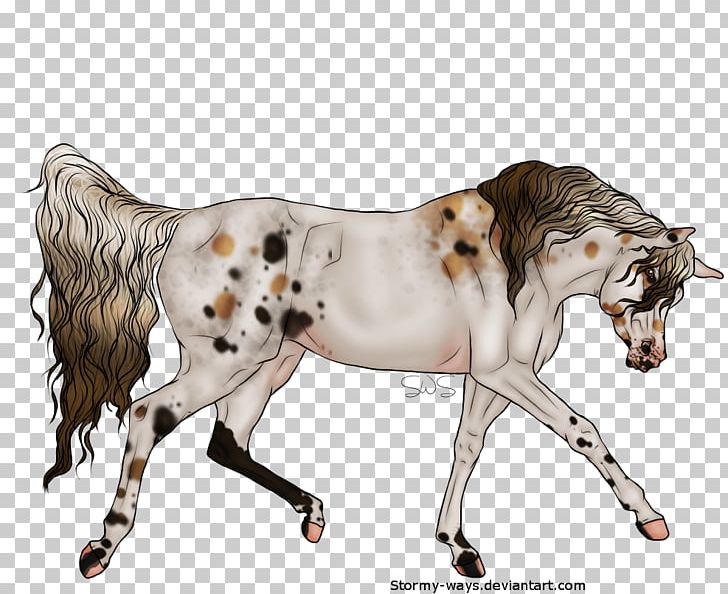Mustang Stallion Pony Cat Fauna PNG, Clipart, Cat, Cat Like Mammal, Fauna, Fictional Character, Horse Free PNG Download