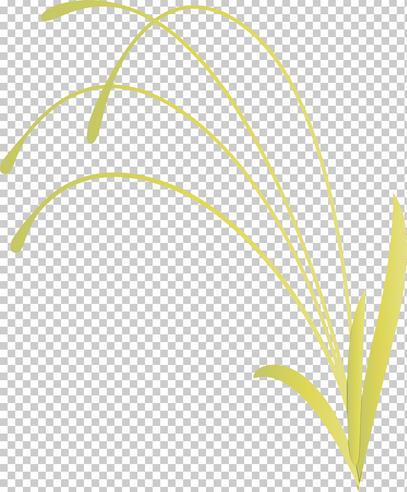 Leaf Plant Line Flower PNG, Clipart, Decoration Frame, Flower, Flower Frame, Leaf, Line Free PNG Download