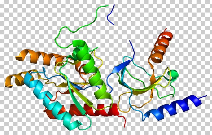 CACNB2 Voltage-gated Calcium Channel Protein Method Of Loci Actin PNG, Clipart, Actin, Area, Calcium Channel, Cav12, Gene Free PNG Download