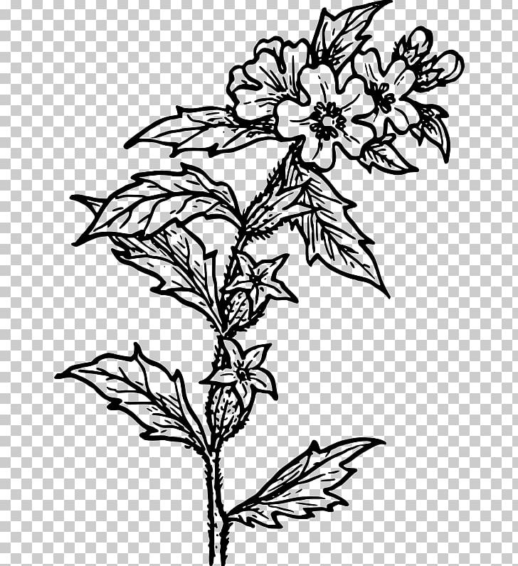 Floral Design Drawing Line Art PNG, Clipart, Art, Artwork, Black And White, Branch, Cut Flowers Free PNG Download