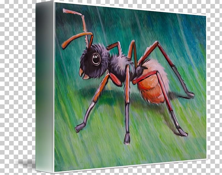 Painting Insect Modern Art K2 PNG, Clipart, Ant, Anthony Mcpartlin, Art, Arthropod, Hey Little Ant Free PNG Download
