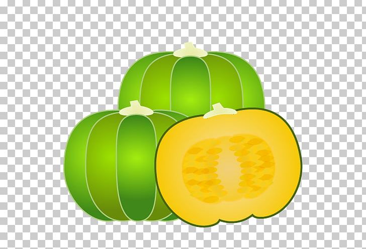 Pumpkin Honeydew Winter Squash Vegetable Illustration PNG, Clipart, Calabaza, Cucumber Gourd And Melon Family, Cucumis, Cucurbita, Cucurbits Free PNG Download
