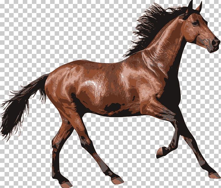 Horse Pony PNG, Clipart, Animal Figure, Animals, Bridle, Colt, Computer Icons Free PNG Download