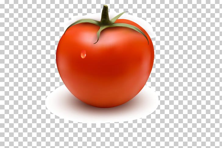 Tomato Hamburger Stock Photography Food PNG, Clipart, Carrot, Cherry Tomato, Download, Flat Design, Food Free PNG Download