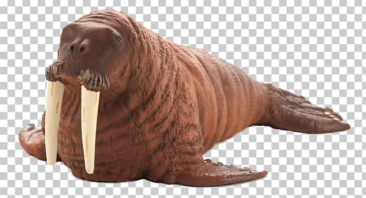 Walrus Dutch Warmblood Mustang Thoroughbred Elephant Seal PNG, Clipart, Animal, Animal Figure, Animals, Dutch Warmblood, Earless Seal Free PNG Download
