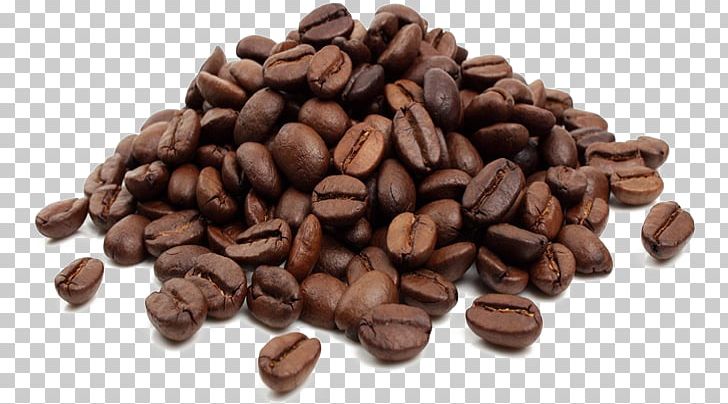 Coffee Bean Cafe Tea Kopi Luwak PNG, Clipart, Asian Palm Civet, Bean, Brewed Coffee, Cafe, Caffeine Free PNG Download