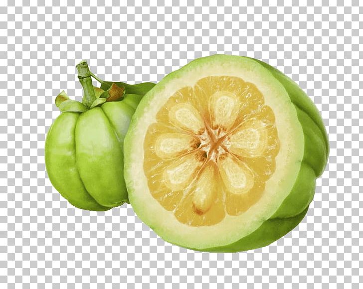 Garcinia Gummi-gutta Dietary Supplement Weight Loss Food PNG, Clipart, Antiobesity Medication, Citron, Citrus, Cucumber Gourd And Melon Family, Diet Free PNG Download