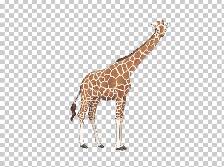 Giraffe Cartoon PNG, Clipart, Animals, Balloon Car, Cartoon, Cartoon Arms, Cartoon Character Free PNG Download