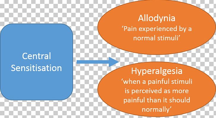 Sensitization Central Pain Syndrome Neuroscience Neuromatrix PNG, Clipart, Area, Brand, Central Pain Syndrome, Communication, Education Free PNG Download