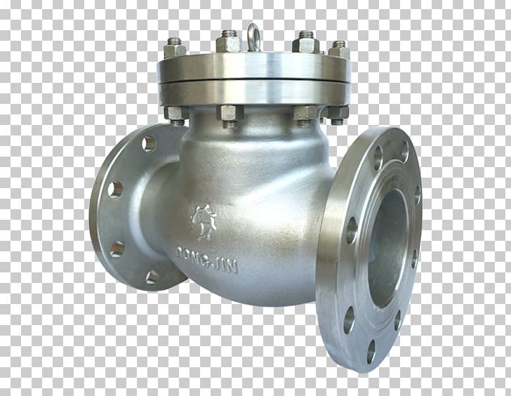 Check Valve Engineering Flange Industry Pump PNG, Clipart, Angle, Check Valve, Computer Hardware, Engineering, Flange Free PNG Download