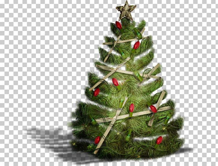 Christmas Tree Santa Claus Christmas Ornament Fir PNG, Clipart, Christmas, Christmas Decoration, Christmas Frame, Christmas Lights, Christmas Ornament Free PNG Download