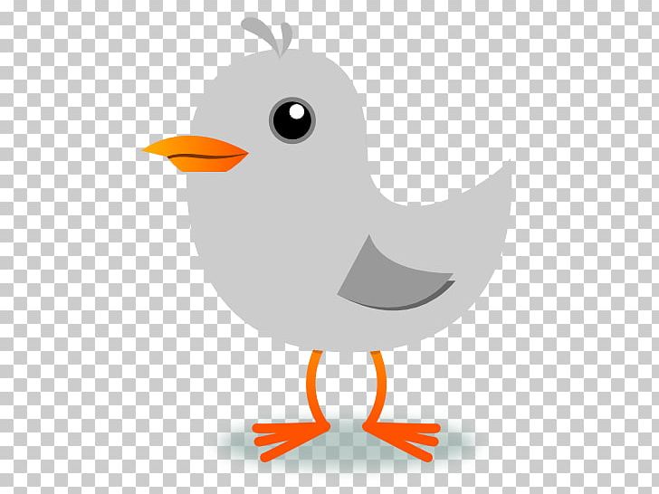 Computer Icons PNG, Clipart, Beak, Bird, Chicken, Computer Icons, Document Free PNG Download