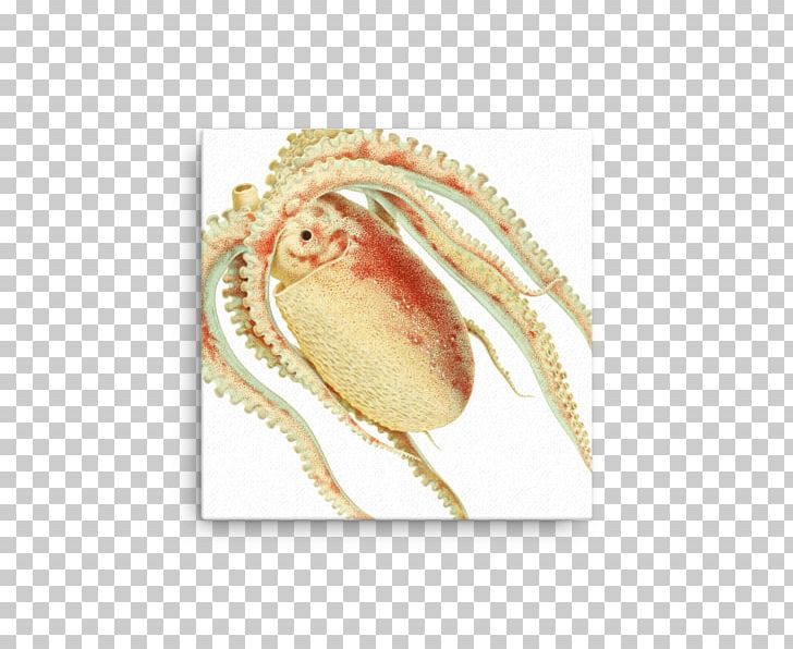 Dungeness Crab Forio Giclée PNG, Clipart, Animals, Crab, Dungeness, Dungeness Crab, Forio Free PNG Download