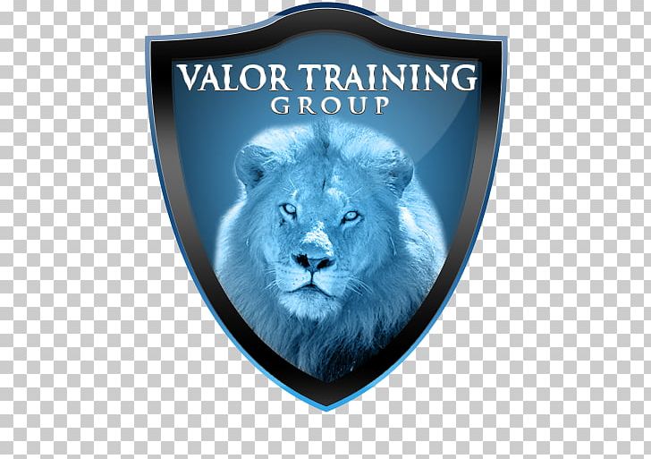 Valor Training Group Professional BALOO Training PNG, Clipart, Big Cats, Carnivoran, Cat Like Mammal, Exercise, Experience Free PNG Download