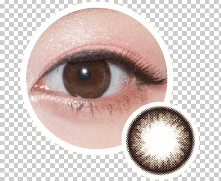 Cat's Eye Circle Contact Lens Contact Lenses Color PNG, Clipart, Animals, Base Curve Radius, Brown, Cat, Cats Eye Free PNG Download