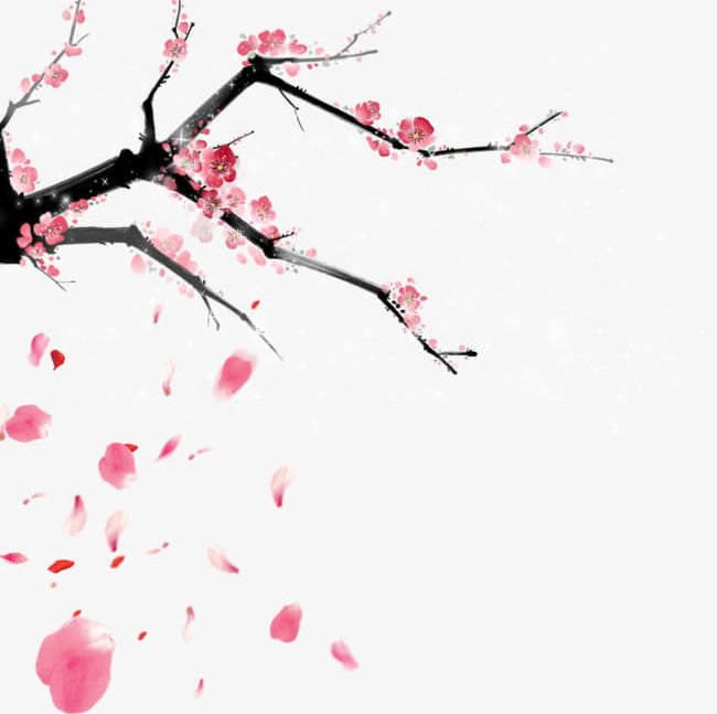 Cherry Tree Petals Fly PNG, Clipart, Blossoms, Cherry, Cherry Blossoms, Cherry Clipart, Cherry Tree Free PNG Download